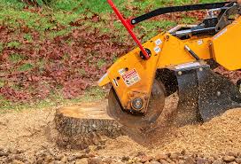 Best Lawn Watering Services  in Schofield Barracks, HI